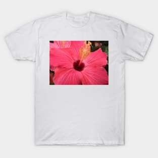 Atlanta, GA.  -- Spring Blooms I  ! T-Shirt